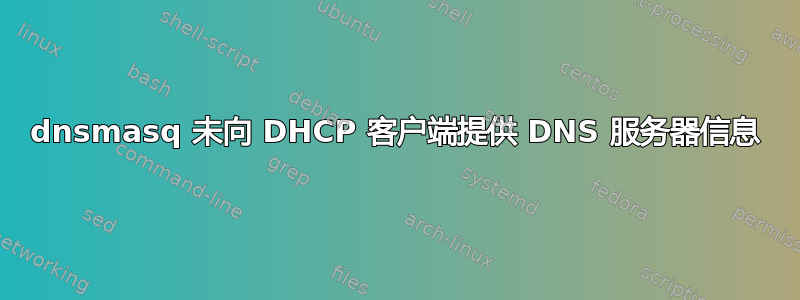 dnsmasq 未向 DHCP 客户端提供 DNS 服务器信息