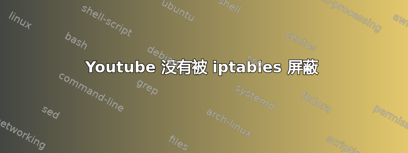 Youtube 没有被 iptables 屏蔽