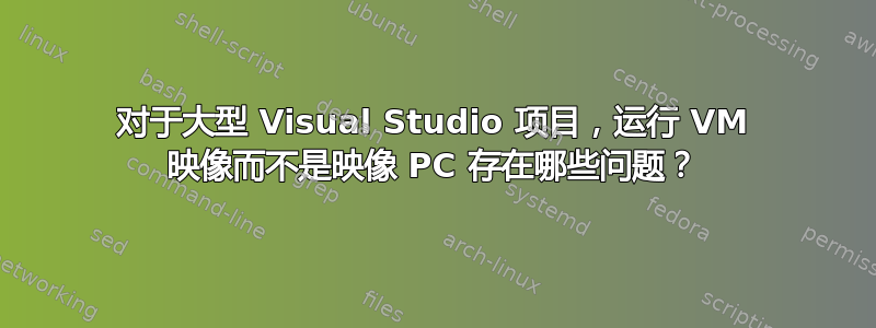 对于大型 Visual Studio 项目，运行 VM 映像而不是映像 PC 存在哪些问题？