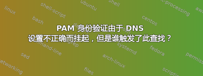 PAM 身份验证由于 DNS 设置不正确而挂起，但是谁触发了此查找？