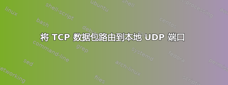 将 TCP 数据包路由到本地 UDP 端口