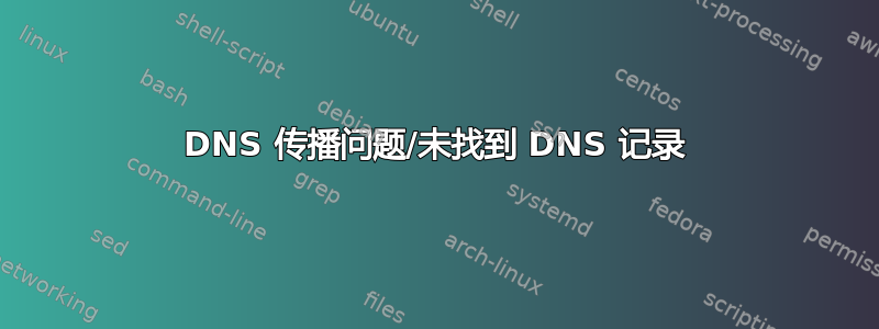 DNS 传播问题/未找到 DNS 记录