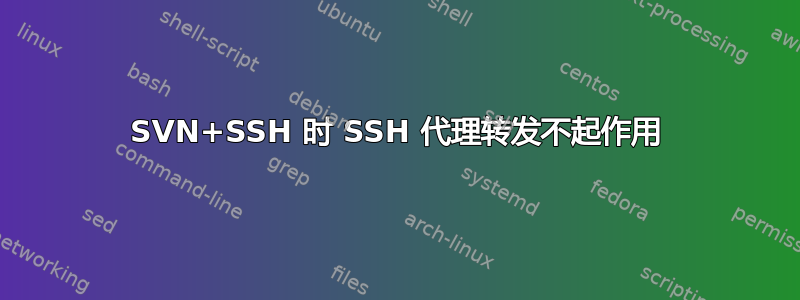 SVN+SSH 时 SSH 代理转发不起作用
