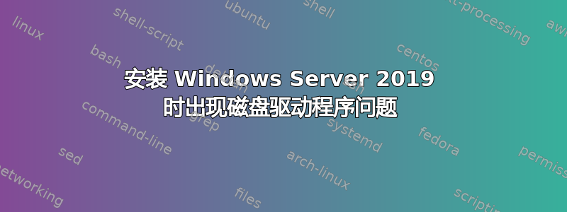 安装 Windows Server 2019 时出现磁盘驱动程序问题