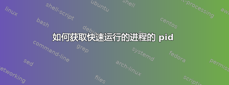 如何获取快速运行的进程的 pid