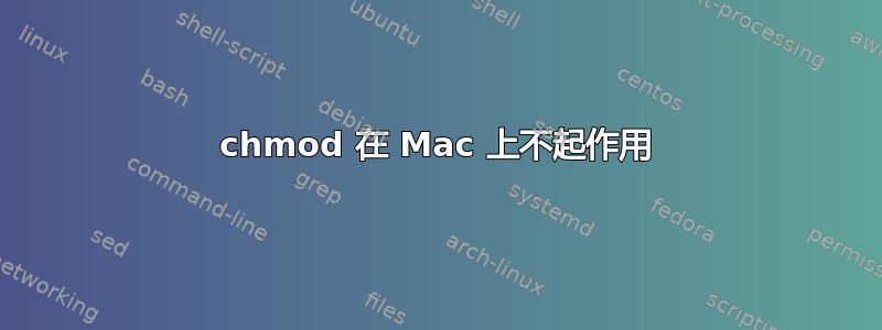 chmod 在 Mac 上不起作用