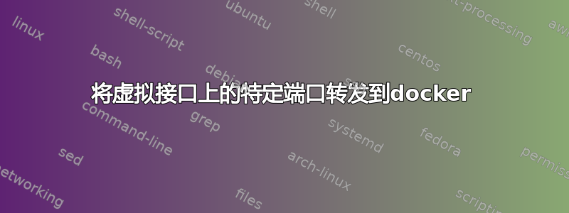 将虚拟接口上的特定端口转发到docker