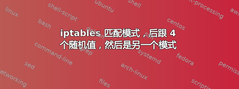 iptables 匹配模式，后跟 4 个随机值，然后是另一个模式