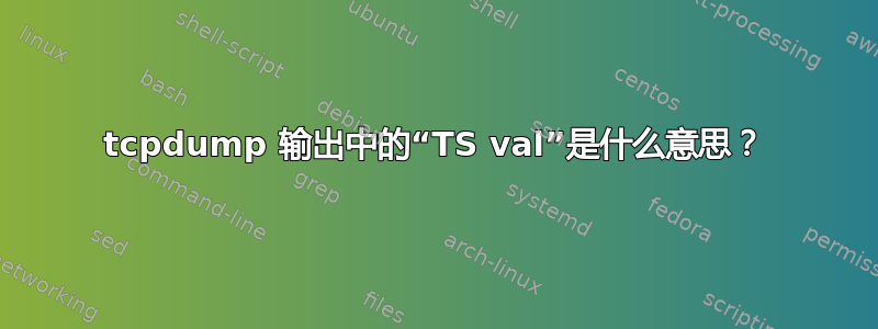 tcpdump 输出中的“TS val”是什么意思？