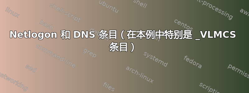 Netlogon 和 DNS 条目（在本例中特别是 _VLMCS 条目）