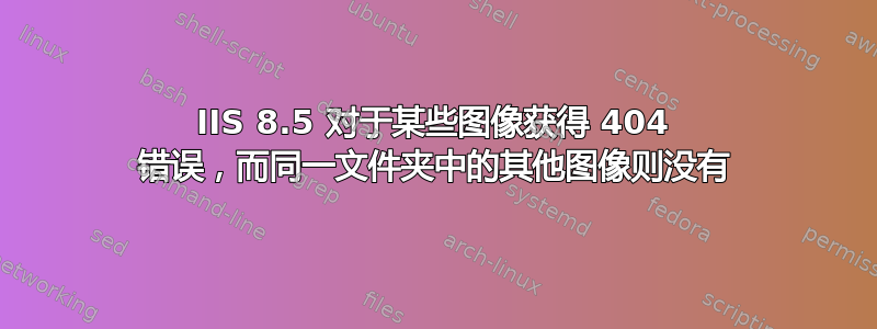 IIS 8.5 对于某些图像获得 404 错误，而同一文件夹中的其他图像则没有