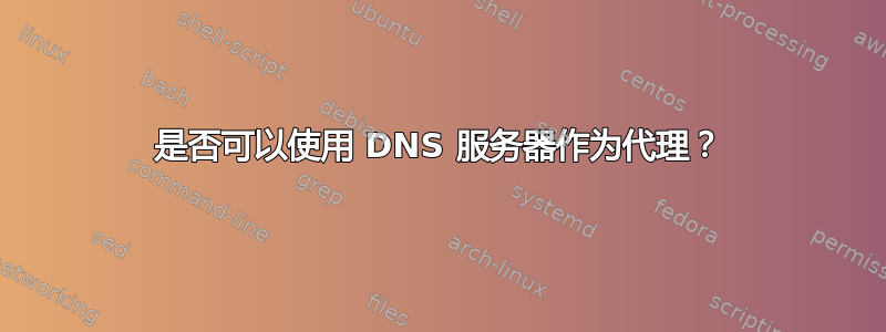 是否可以使用 DNS 服务器作为代理？