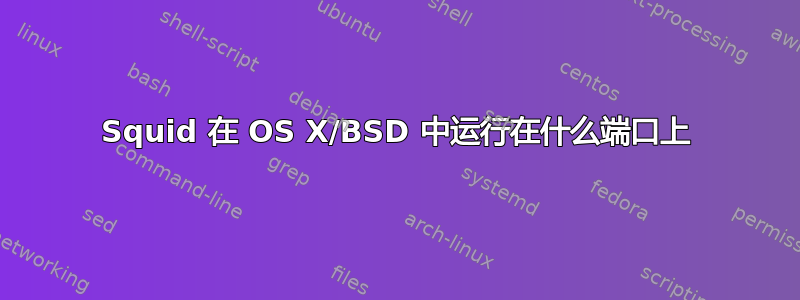 Squid 在 OS X/BSD 中运行在什么端口上