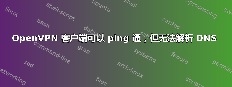 OpenVPN 客户端可以 ping 通，但无法解析 DNS