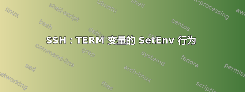 SSH：TERM 变量的 SetEnv 行为