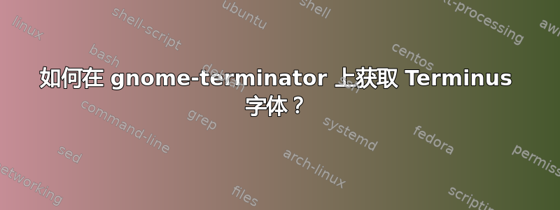 如何在 gnome-terminator 上获取 Terminus 字体？