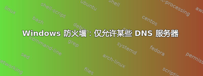 Windows 防火墙：仅允许某些 DNS 服务器