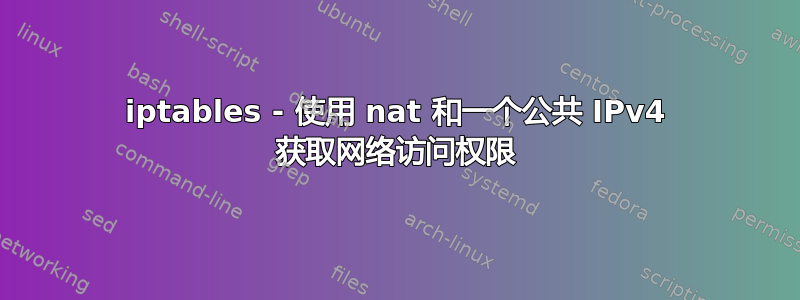 iptables - 使用 nat 和一个公共 IPv4 获取网络访问权限