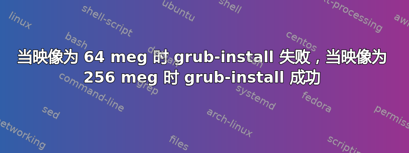 当映像为 64 meg 时 grub-install 失败，当映像为 256 meg 时 grub-install 成功