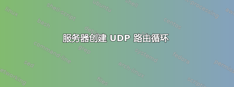 服务器创建 UDP 路由循环