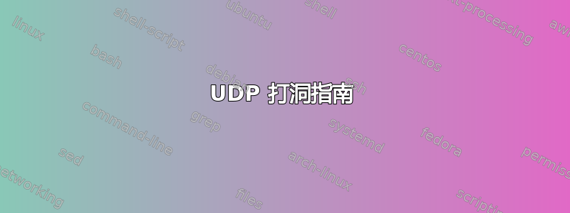 UDP 打洞指南