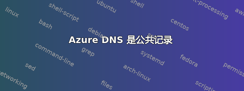 Azure DNS 是公共记录