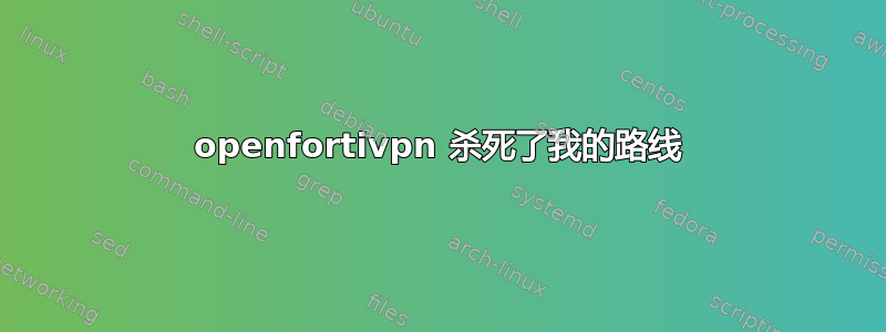 openfortivpn 杀死了我的路线