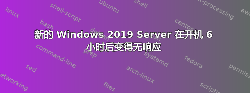 新的 Windows 2019 Server 在开机 6 小时后变得无响应