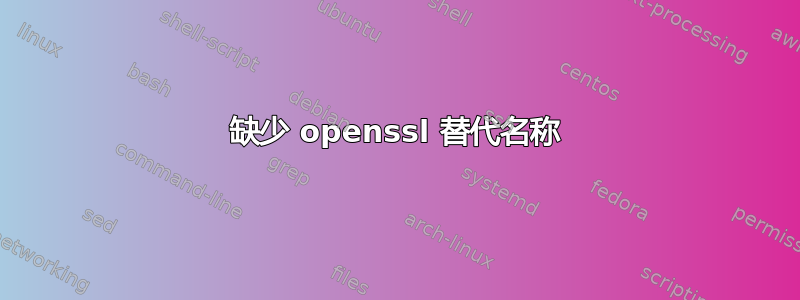 缺少 openssl 替代名称