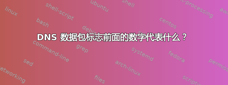 DNS 数据包标志前面的数字代表什么？