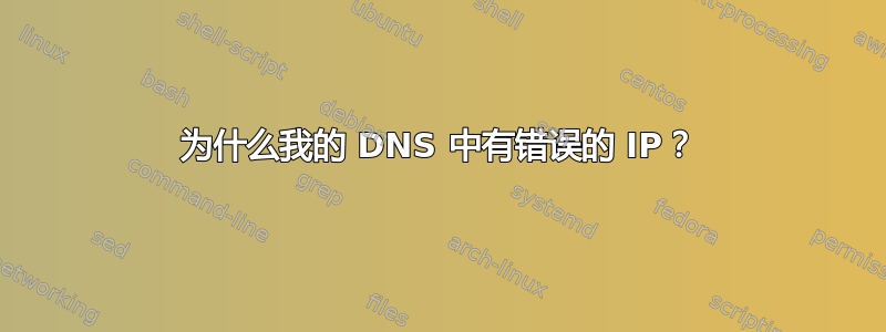 为什么我的 DNS 中有错误的 IP？