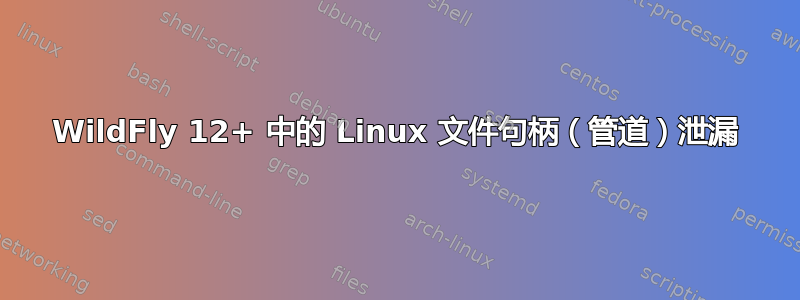 WildFly 12+ 中的 Linux 文件句柄（管道）泄漏