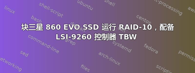 6 块三星 860 EVO SSD 运行 RAID-10，配备 LSI-9260 控制器 TBW