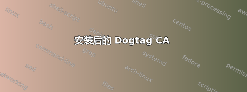 安装后的 Dogtag CA