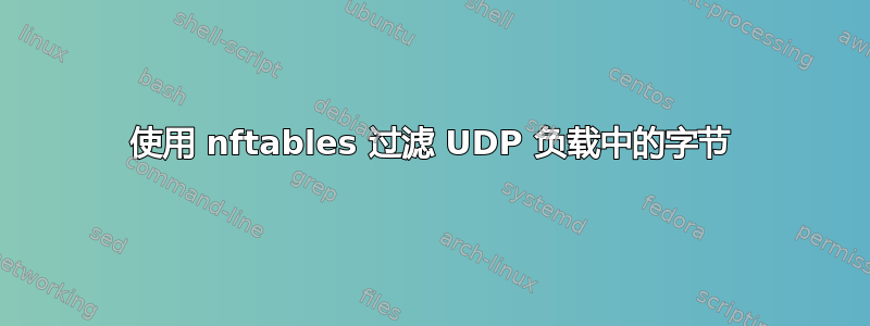 使用 nftables 过滤 UDP 负载中的字节