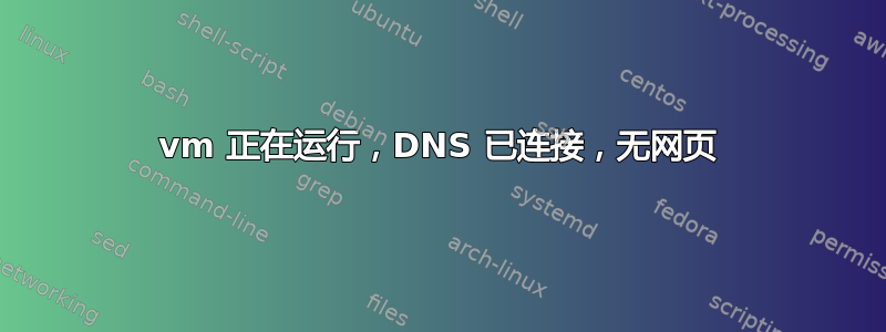 vm 正在运行，DNS 已连接，无网页