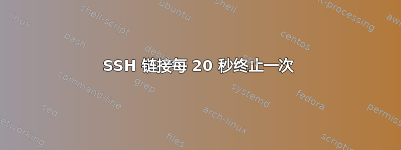 SSH 链接每 20 秒终止一次