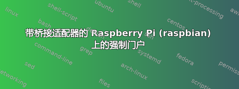 带桥接适配器的 Raspberry Pi (raspbian) 上的强制门户