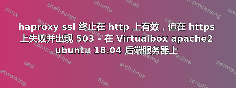 haproxy ssl 终止在 http 上有效，但在 https 上失败并出现 503 - 在 Virtualbox apache2 ubuntu 18.04 后端服务器上