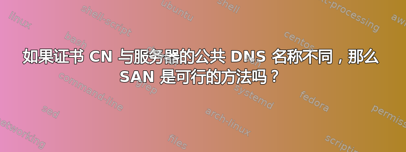 如果证书 CN 与服务器的公共 DNS 名称不同，那么 SAN 是可行的方法吗？