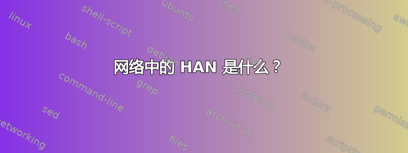 网络中的 HAN 是什么？ 