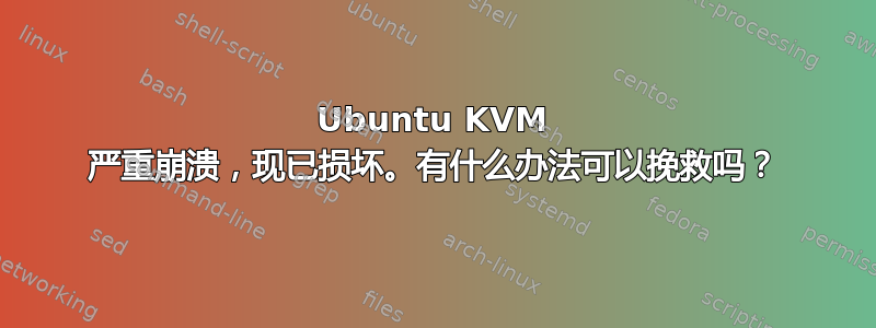 Ubuntu KVM 严重崩溃，现已损坏。有什么办法可以挽救吗？