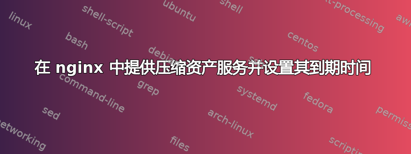 在 nginx 中提供压缩资产服务并设置其到期时间