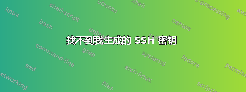 找不到我生成的 SSH 密钥