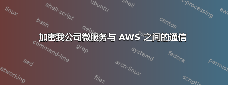 加密我公司微服务与 AWS 之间的通信