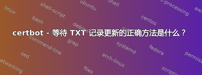 certbot - 等待 TXT 记录更新的正确方法是什么？