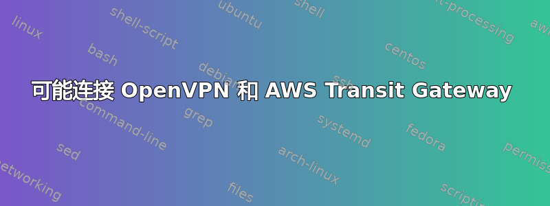 可能连接 OpenVPN 和 AWS Transit Gateway