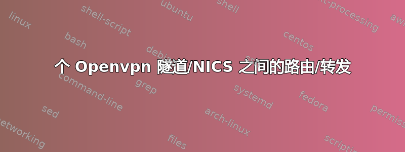 2 个 Openvpn 隧道/NICS 之间的路由/转发