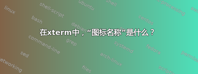 在xterm中，“图标名称”是什么？