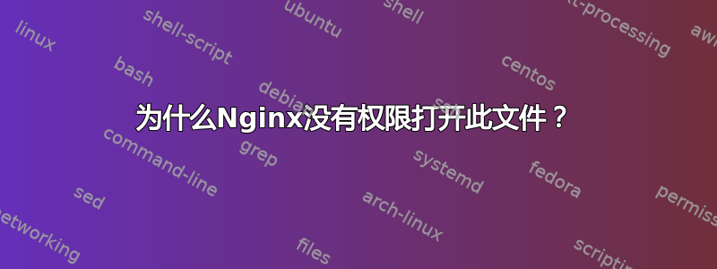 为什么Nginx没有权限打开此文件？